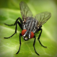 /album/campcorportta1974/photolia-a01-jpg/