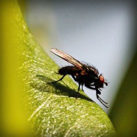 /album/campcorportta1974/photolia-a04-jpg/