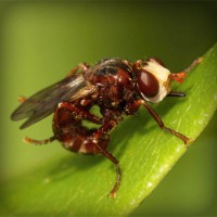 /album/campcorportta1974/photolia-a06-jpg/